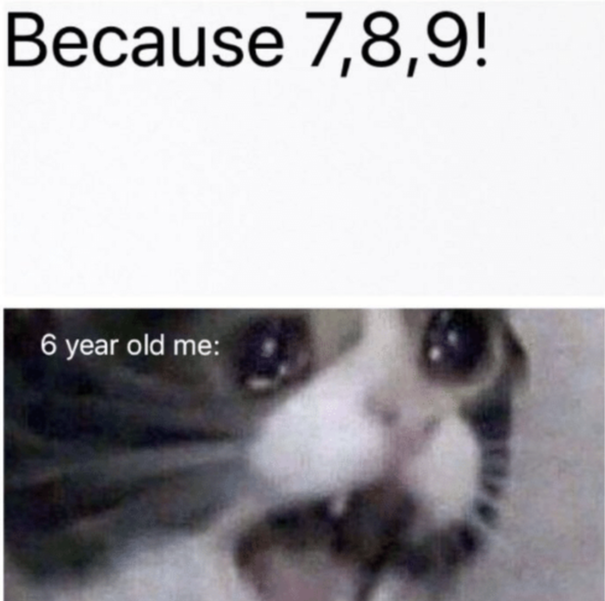 meme about the joke why was 6 afraid of 7 because 7 8 9