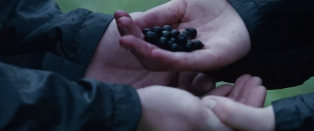 hunger games peeta and katniss berries