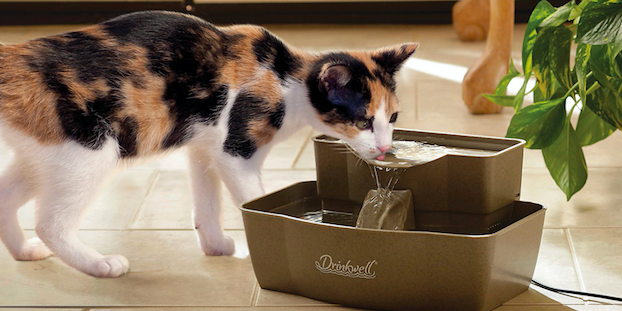 A calico cat drinking from a two-tiered fountain that is plugged into a wall 