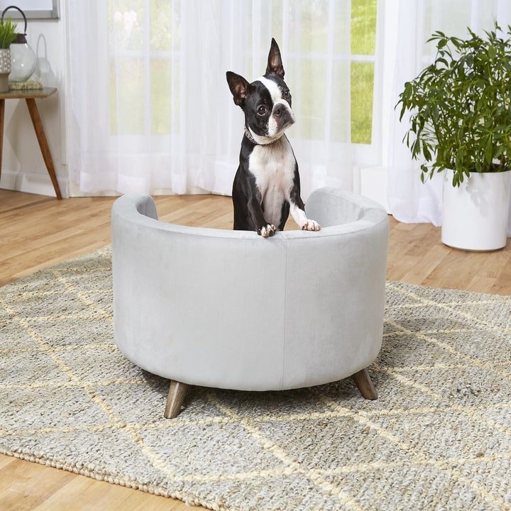 21 Things From Chewy Pet Owners Will Probably Wish They D Bought