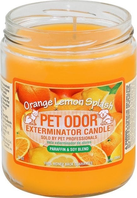 Orange Lemon Splash Pet Odor Exterminator Candle 