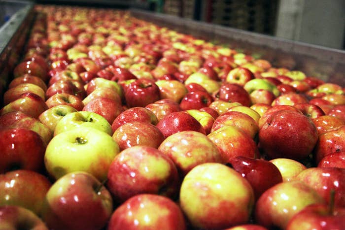 How To Remove Wax From Apples How To Remove Wax From Apples