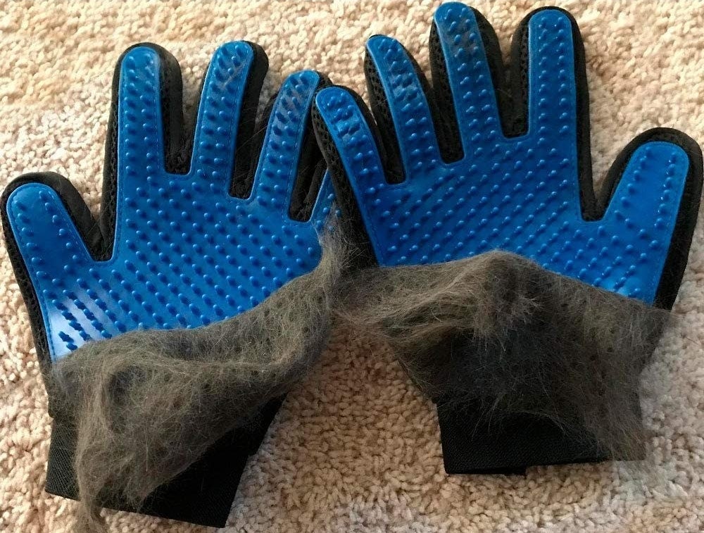 Cat hair covering half of the palms on a pair of pet-brushing gloves