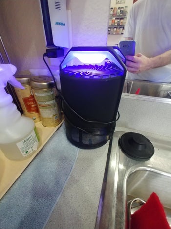 reviewer image of the UV light trap