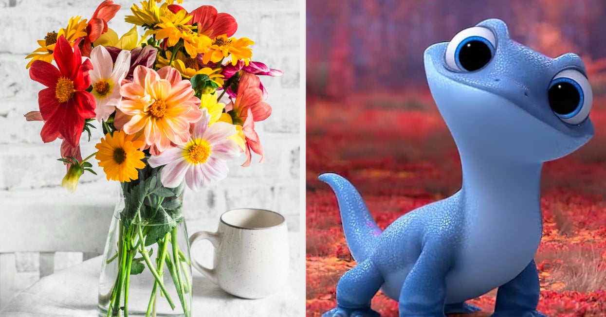 Quiz Which Disney Sidekick Are You Based On The Flowers You Pick?