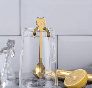 A cat spoon hanging off the edge of a transparent glass