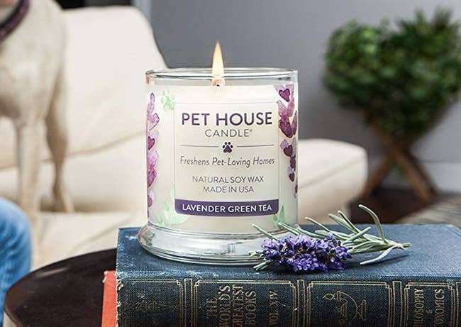 A lavender green tea candle burning in a living room 