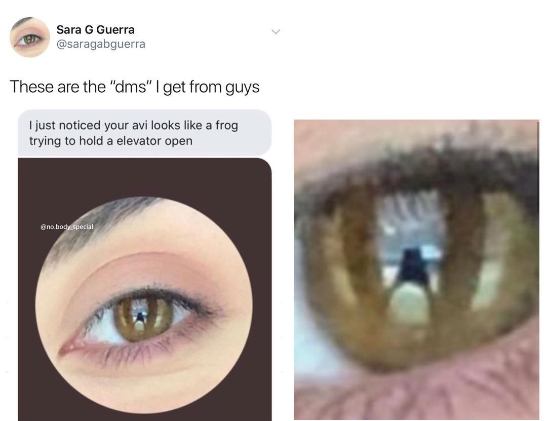 someone dming a stranger saying their eye looks like a frog in a door