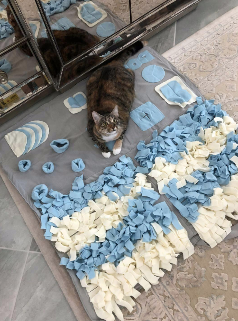 image of reviewer&#x27;s cat playing with the mat