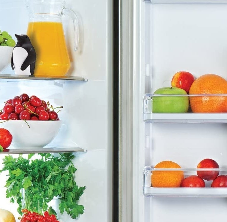 the penguin-shaped deodorizer on the top shelf of a fridge