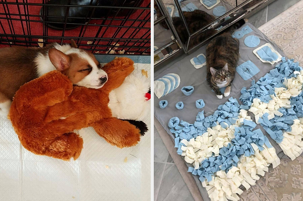 17 Things That Will Help Soothe You And Your Anxious Pet