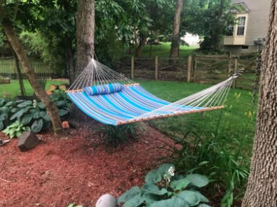 double hammock strung up between two trees in a reviewer's yard