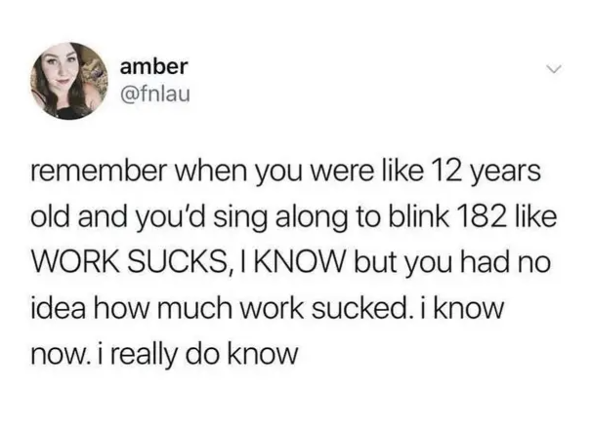 tweet reading remember when you were like 12 years old and you&#x27;d sing along to blink 182 and say work sucks i know and now i really do know