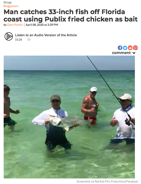 Man catches 33-inch fish off Florida coast using Publix fried chicken as bait