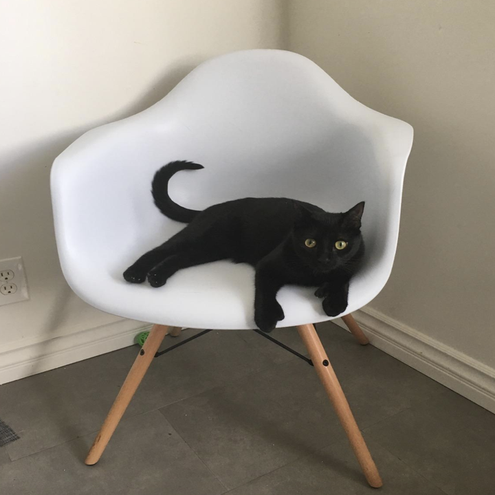 The Best Desk Chairs You Can Get On Amazon