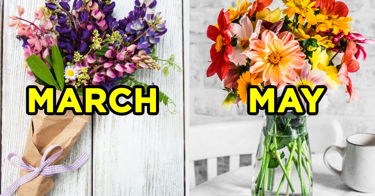 Quiz Pick A Flower In Every Color And We'll Reveal If You're More