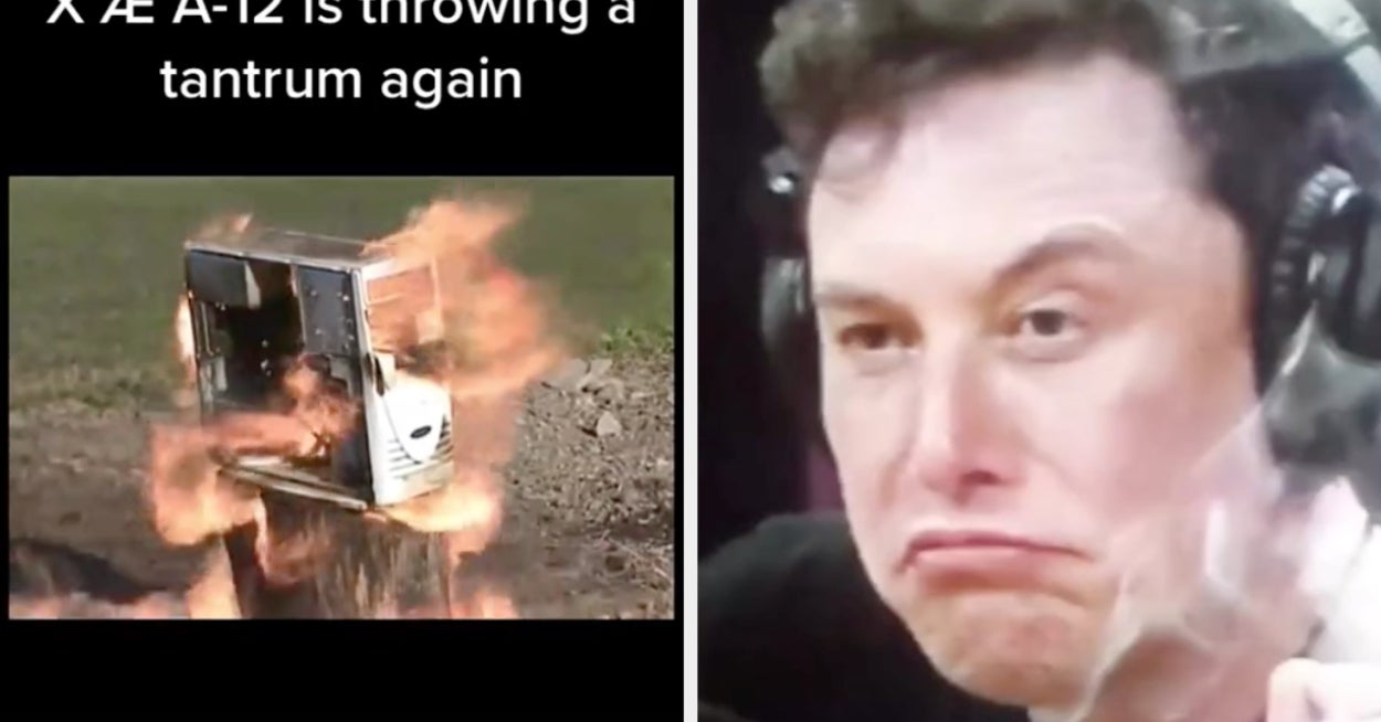 The 17 Best Tiktok Jokes About Grimes And Elon Musk S Baby S Name