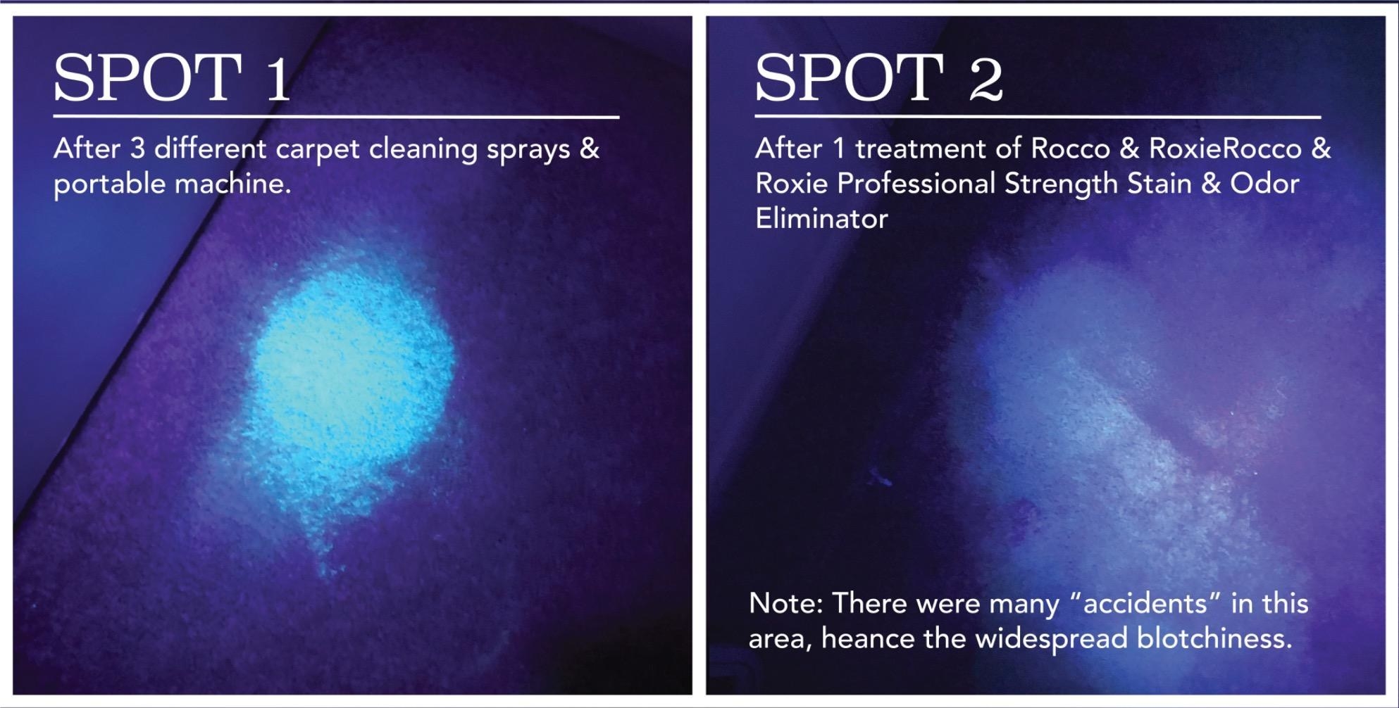 reviewer photo showing how the cleaning spray was able to remove germs and stain from their pet&#x27;s accident on their carpet