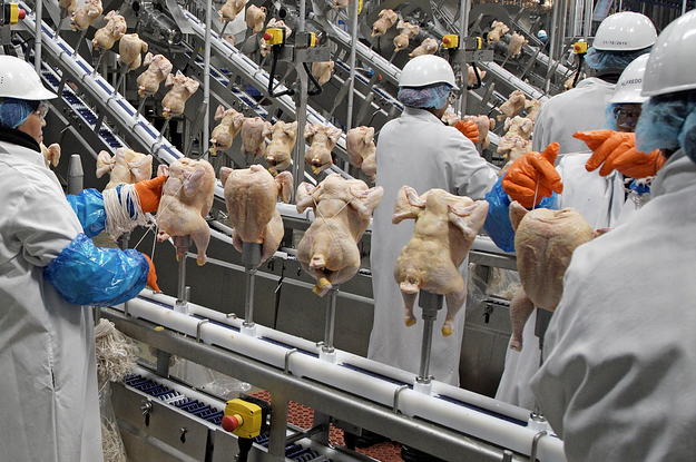 Los empleados de Costco Meat Packaging Company hablan sobre su miedo al coronavirus