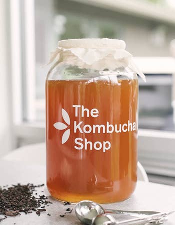 The gallon jar from the kit with kombucha in it 