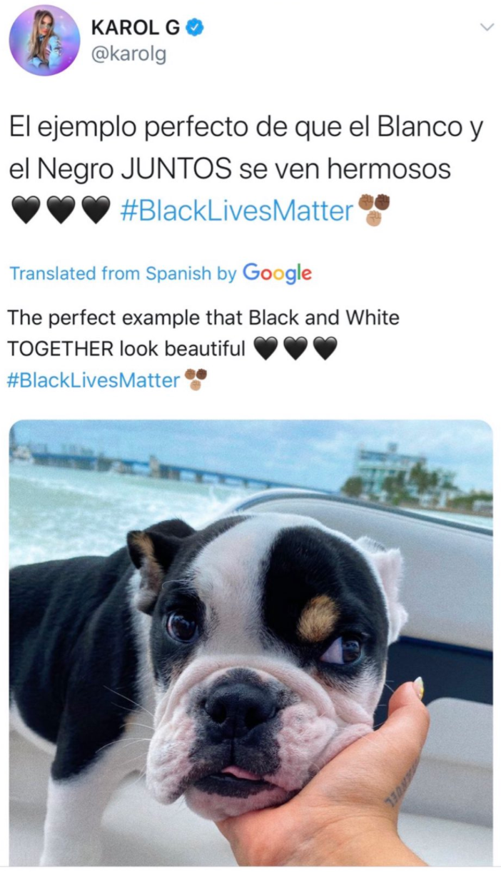 Karol G apologizes for using her black-and-white dog to promote Black Lives  Matter tweet