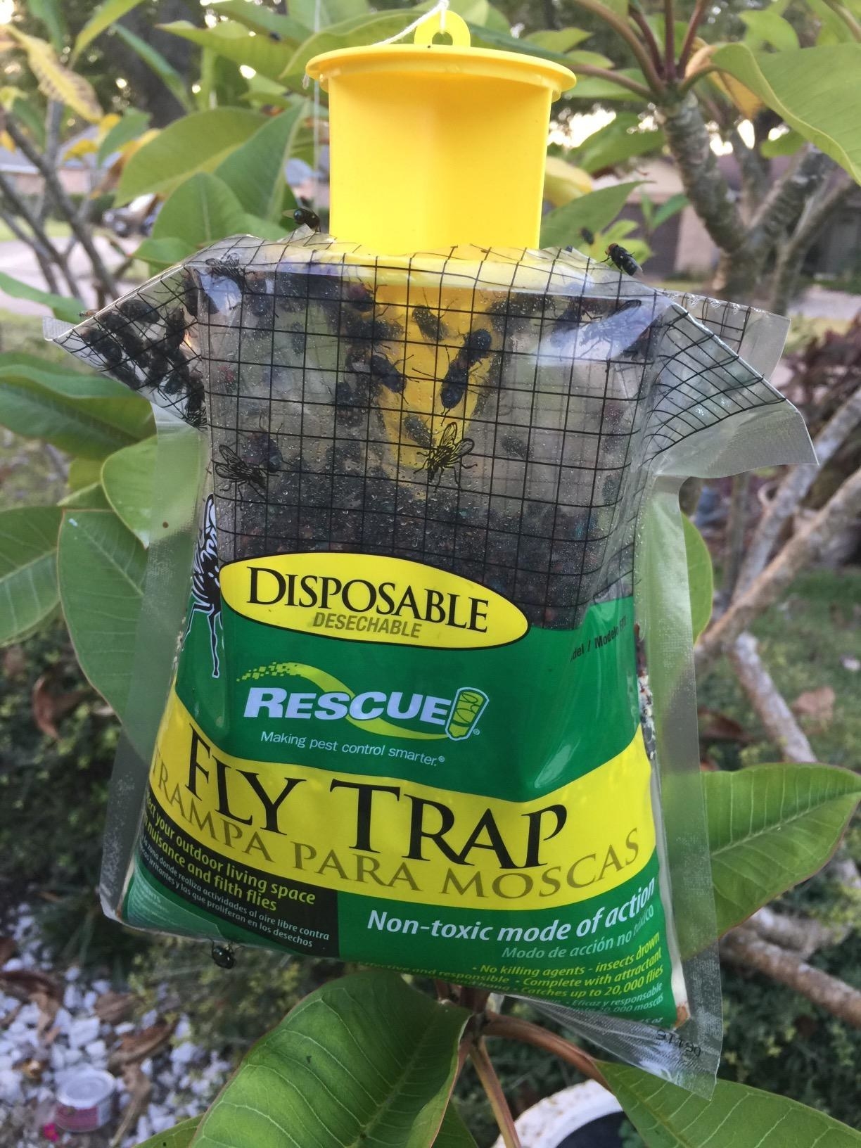 Rescue! Big Bag Disposable Fly Trap Sterling International - Fly Traps