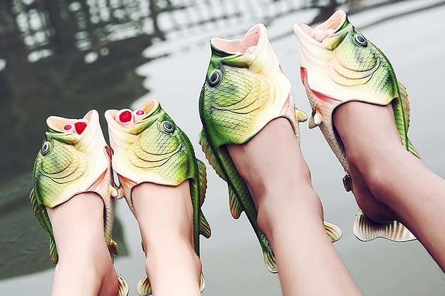 I'm an image I'm an image