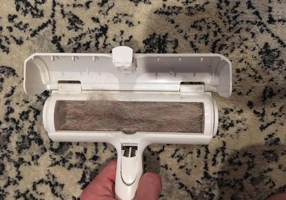 Reviewer&#x27;s picture of the pet hair-removing brush filled with fur