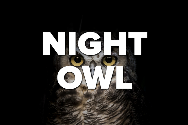 Quiz: Are You A Night Owl?