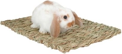 a bunny on the mat