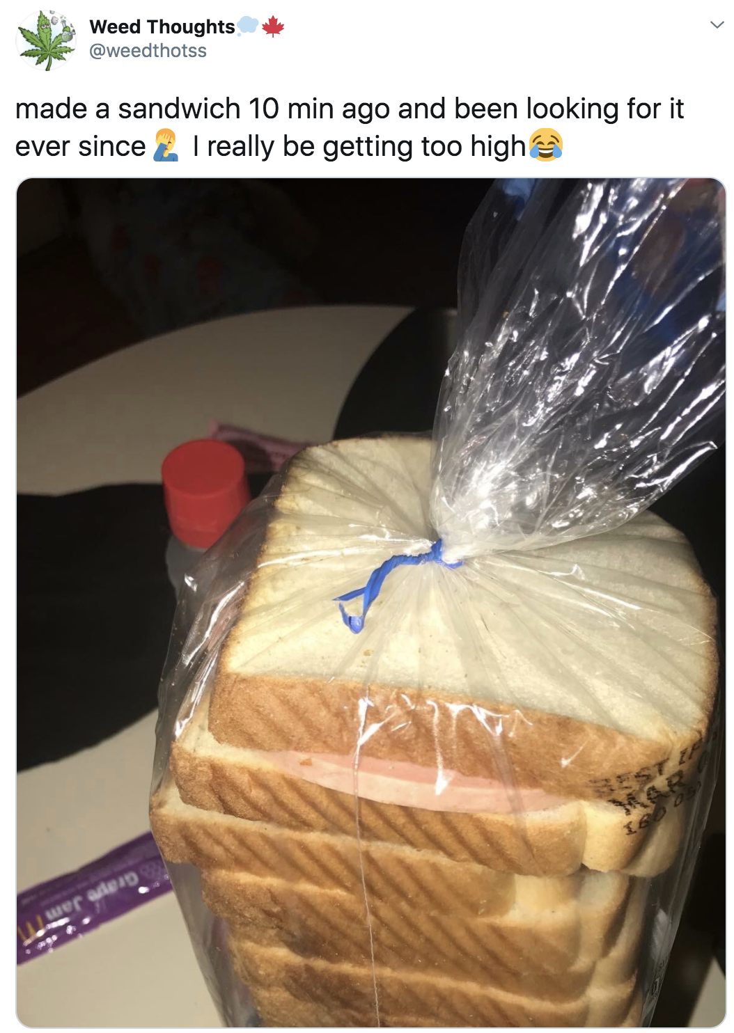 someone who forgot their sandwich in a bread bag