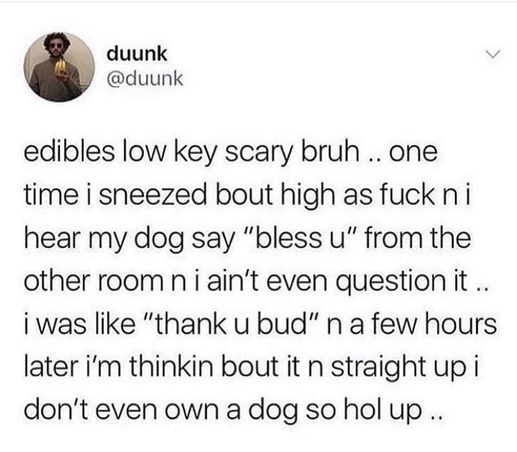 tweet about someone who got so high they thought their dog said bless you