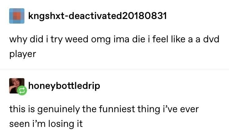 tumblr post about feeling like a dvd player after gettiing high