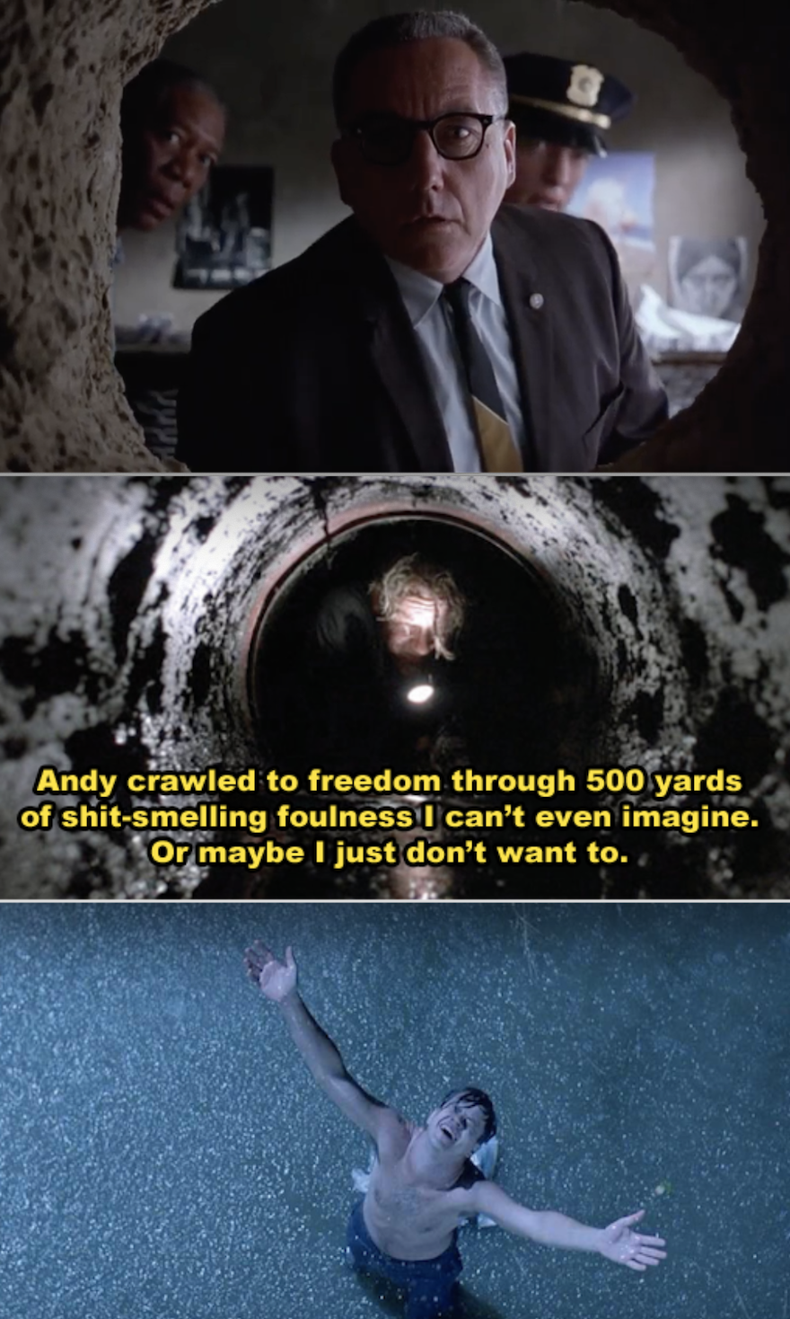 Andy escaping from prison