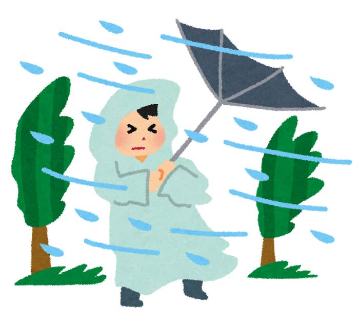 雨の日の 困った強風あるある から解放してくれる傘