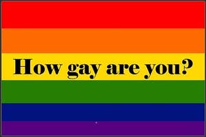 Pride flag, with "How gay are you?" on it.