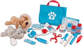 Veterinarian set that includes toy dog and cat, plastic vet tools, and storage bag