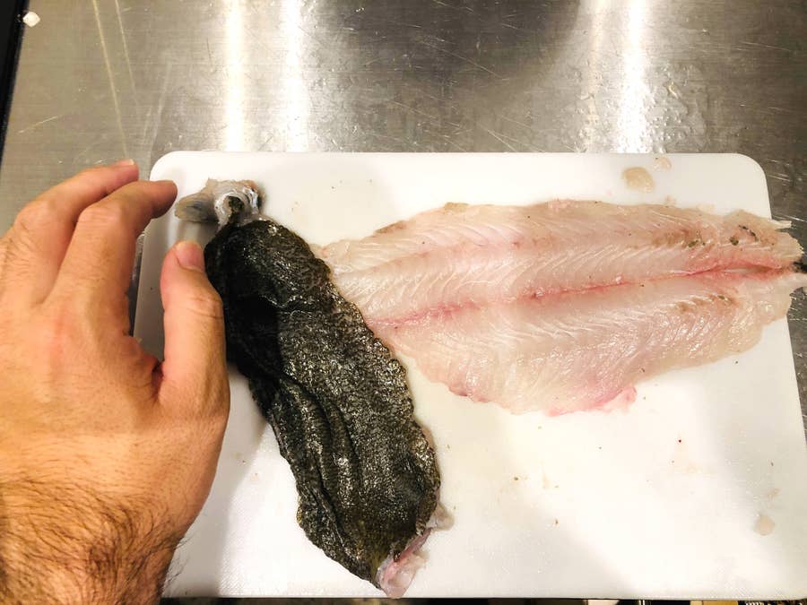 漁港から新鮮な魚がどっさり届く 鮮魚box がやばい