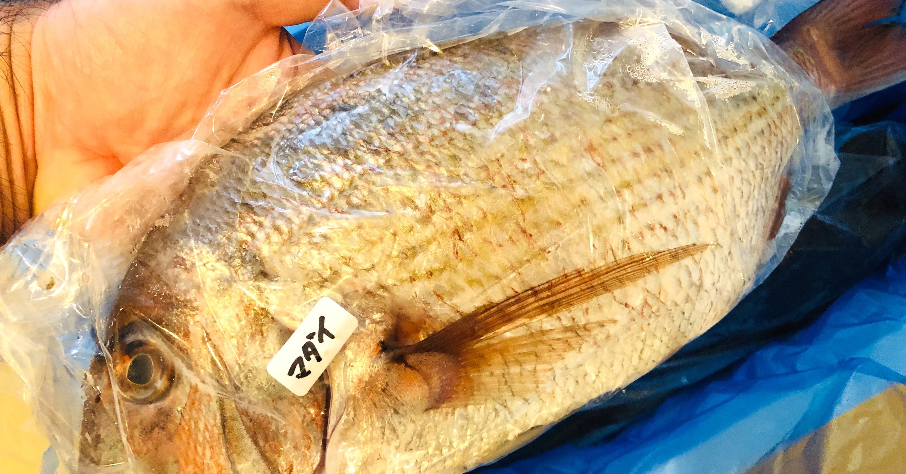 東北から新鮮な魚がどっさり届く「鮮魚BOX」がやばい。 - BuzzFeed Japan