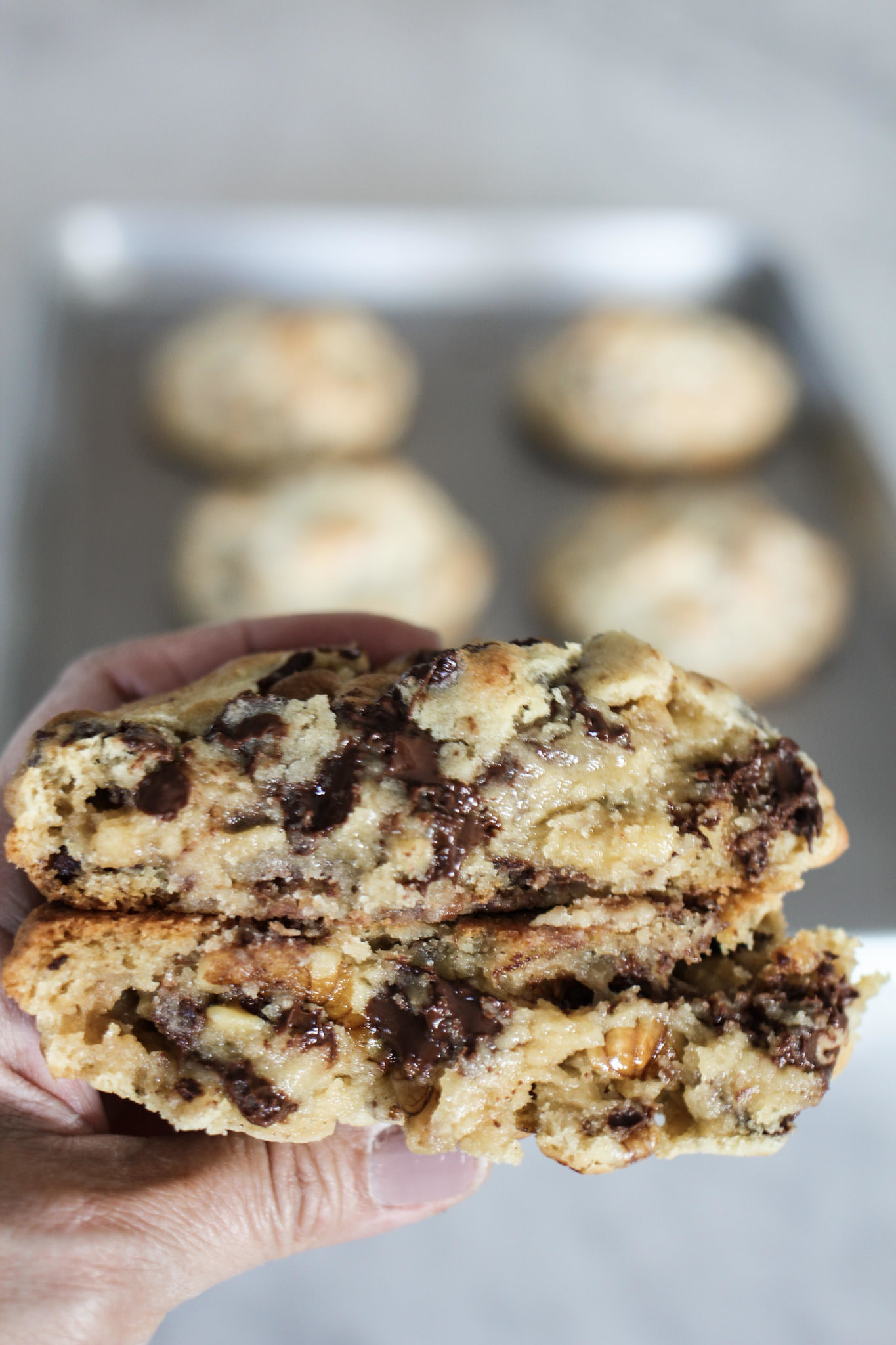 Hands holding a gooey chocolate chip walnut cookie sliced in half with a baking sheet full of cookies behind it.