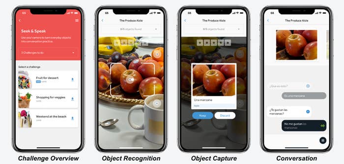 Overview of Seek and Speak game