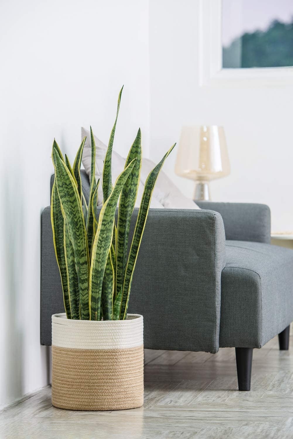 The rope plant basket next to a sofa