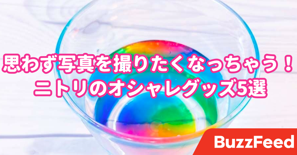 全部1000円以下 ニトリのオシャレな 映えグッズ 5選 全部1000円以下 ニトリのオシャレな 映えグッズ 5選