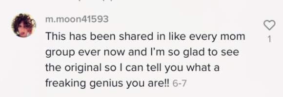 Comment from video: This has been shared in every mom group and I&#x27;m glad to see the original so I can tell you how genius you are!