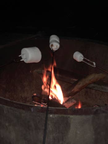 reviewers roast marshmallow over bonfire in backyard