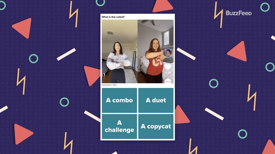 Addison Rae Tiktok Quiz