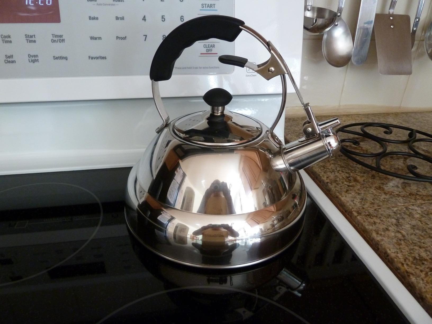 rust free electric kettle
