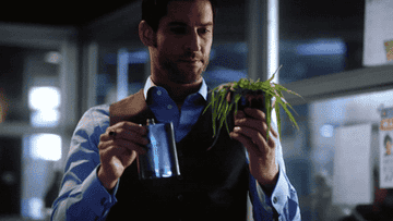 actor pours flask of booze into plant (i think its from the show lucifer)