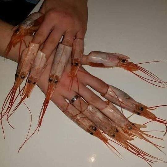 Shrimp heads as acrylics 