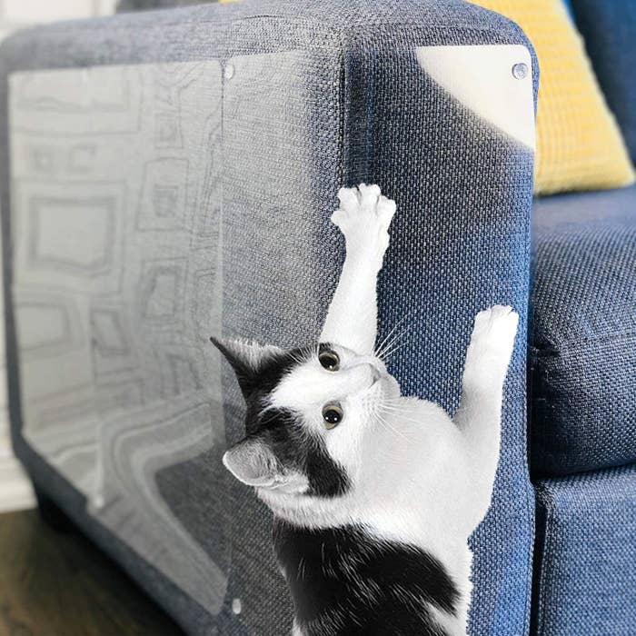 A cat scratching the side of a couch with a shield on it